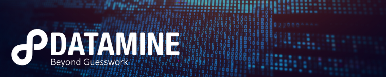 Datamine Limited