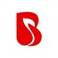 BrainMobi