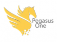 Pegasus One