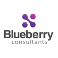 Blueberry Consultants Ltd