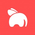 Flyphant