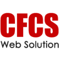 Computer Frontline Consultancy Service