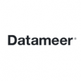 Datameer