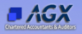 AGX Auditors