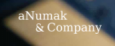 aNumak & Company