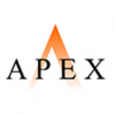 Apex IT Services