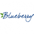 Blueberry Marketing 