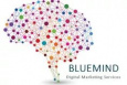 Bluemind Digital Marketing