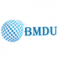 BM Digital Utilization