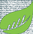 BusySeed