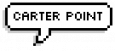 Carter Point