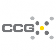 CCG Analytics Solutions & Services