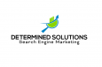 Determined Solutions SEO