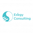 Exegy Consulting