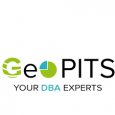 Geo Platinum IT Services (GeoPITS)