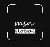 MSN Global IT Solutions