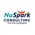 NuSpark Consulting