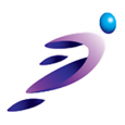 Perception Consulting