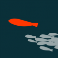 Red Minnow Interactive