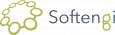 Softengi