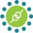 KiwiQA Services